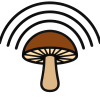Pilz-Logo-1-Color